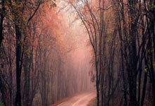 足坛名宿因健康突发状况急需救治